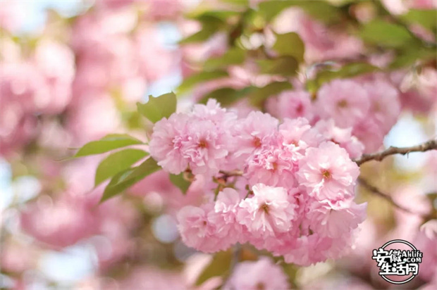 开元游戏大厅app·(中国集团)官方网站