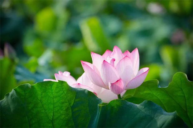 开元游戏大厅app·(中国集团)官方网站