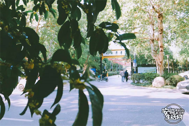 开元游戏大厅app·(中国集团)官方网站