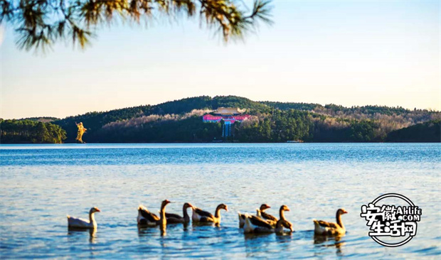 开元游戏大厅app·(中国集团)官方网站