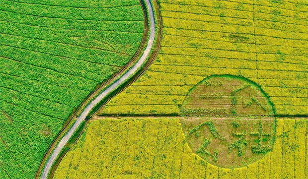 开元游戏大厅app·(中国集团)官方网站