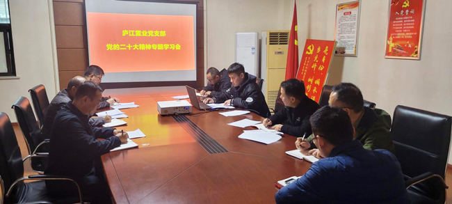 开元游戏大厅app·(中国集团)官方网站